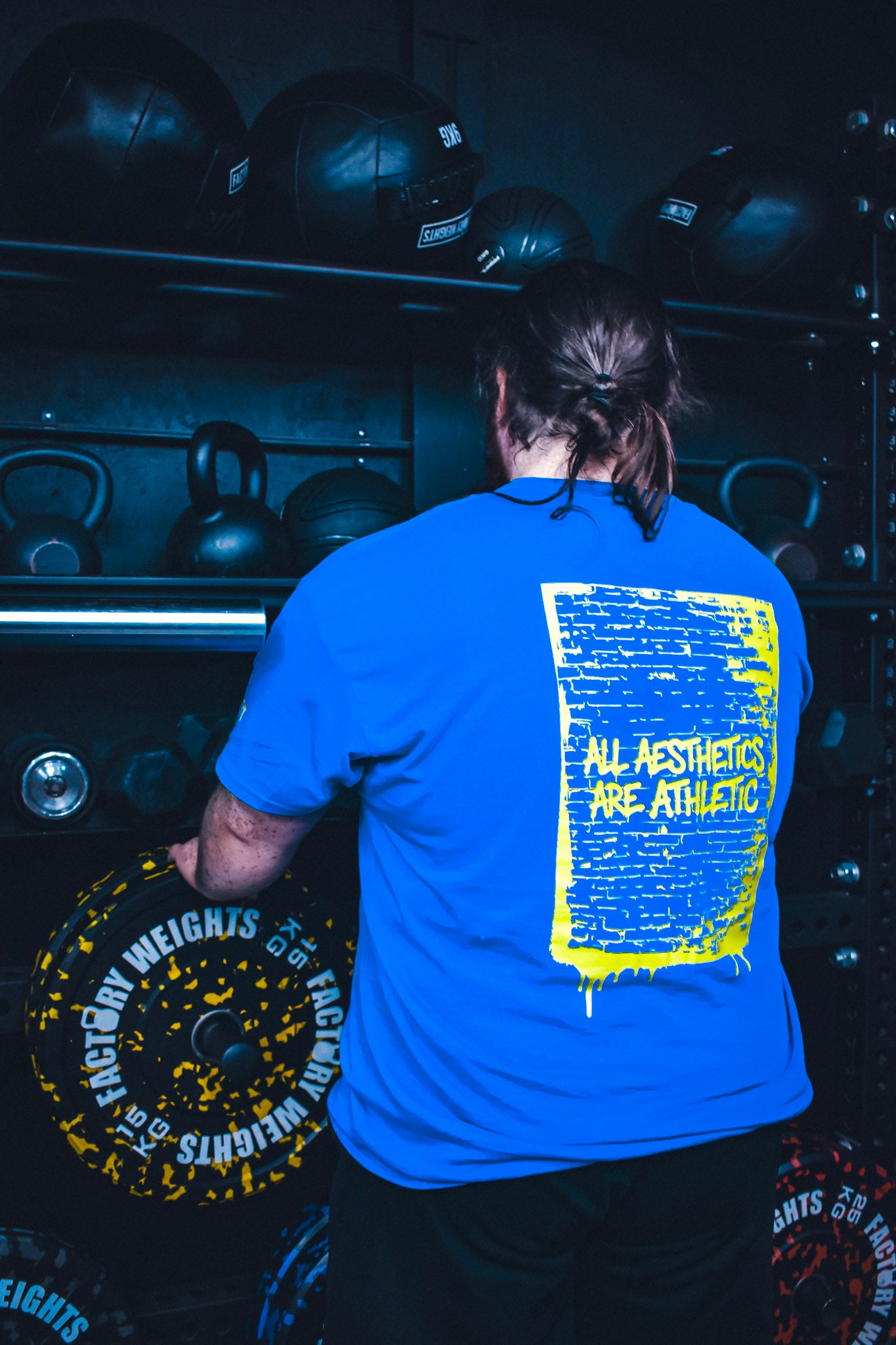 All Aesthetics Are Athletic T-Shirt
