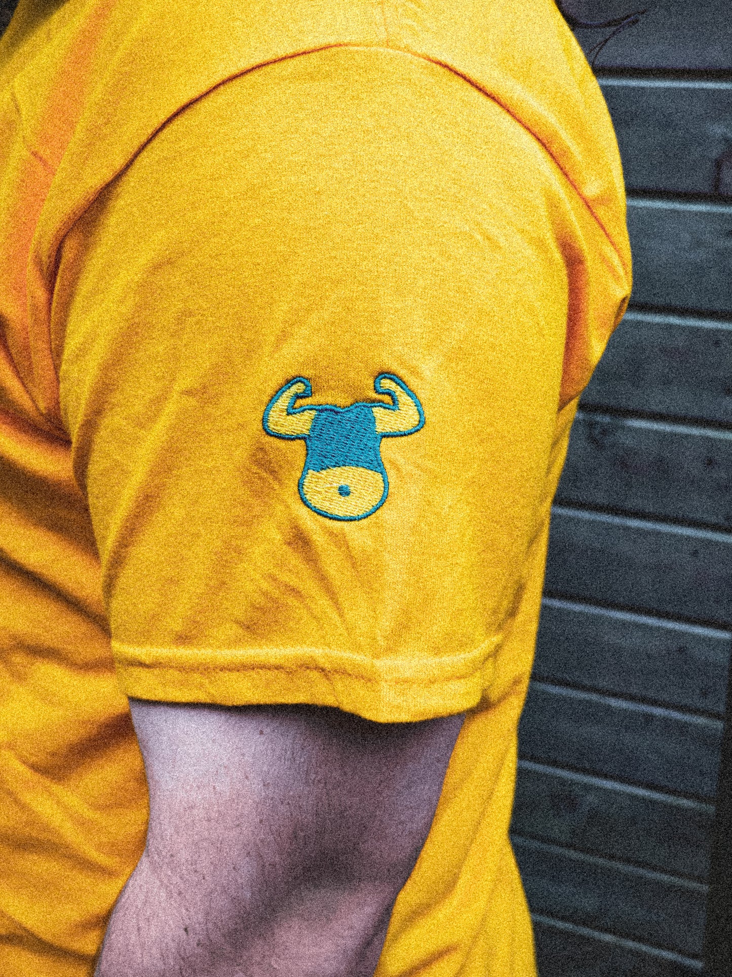 TubbyFit Classic Embroidered T-Shirt